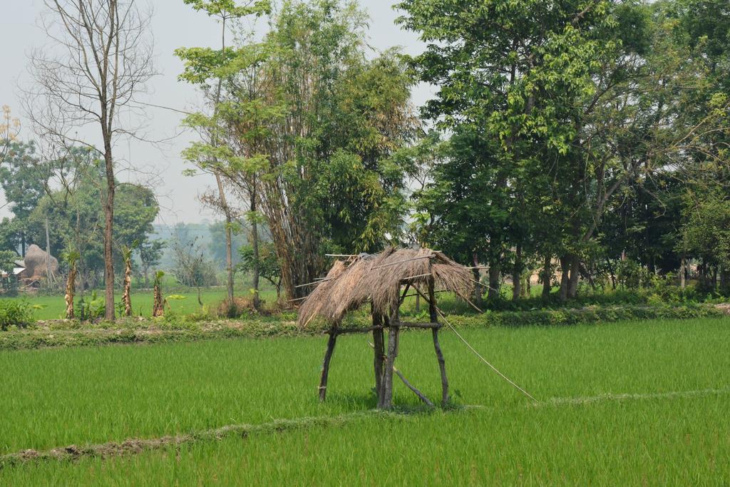 Barauli Community Homestay Chilha ภายนอก รูปภาพ